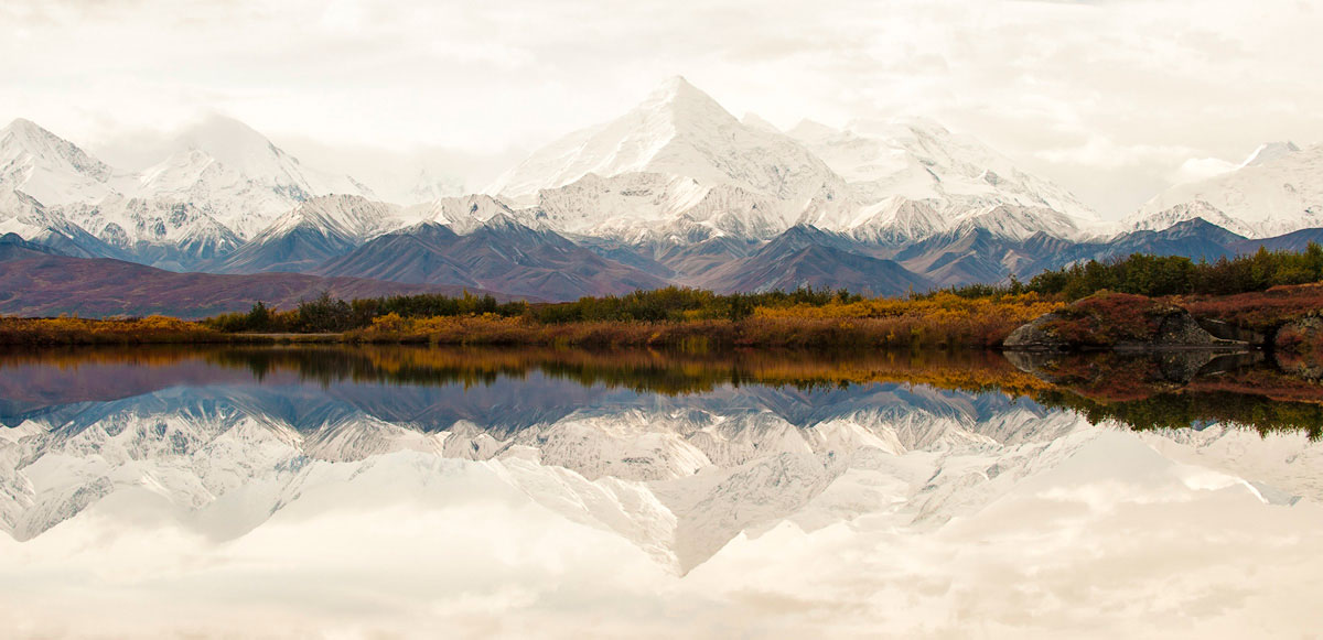 Восхитительная дикая природа в фотографиях с конкурса «Wilderness Forever»