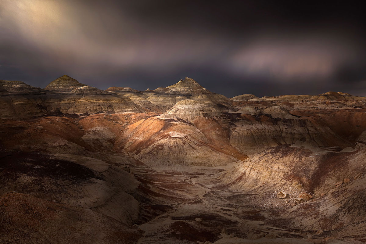 Восхитительная дикая природа в фотографиях с конкурса «Wilderness Forever»