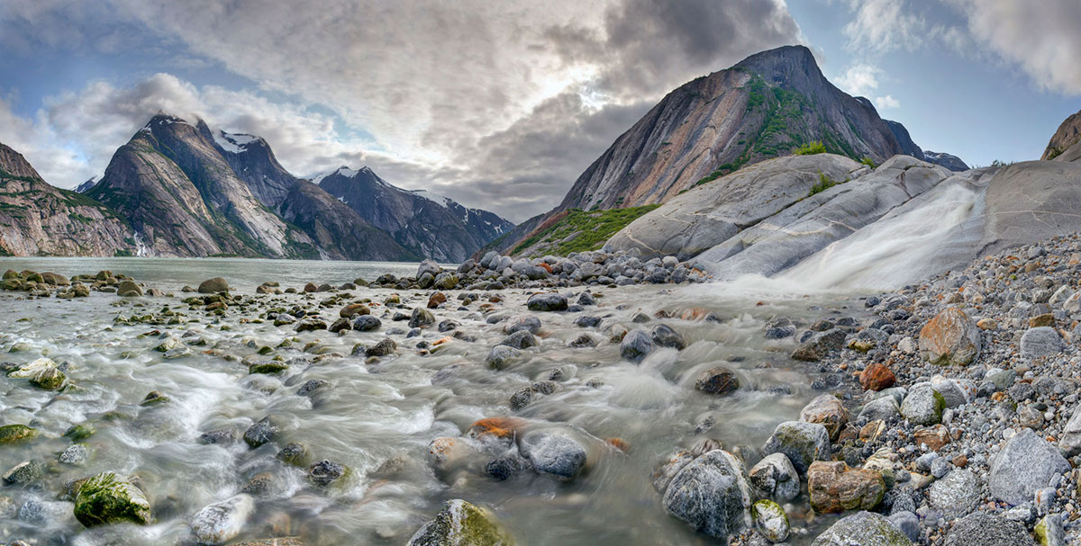 Восхитительная дикая природа в фотографиях с конкурса «Wilderness Forever»