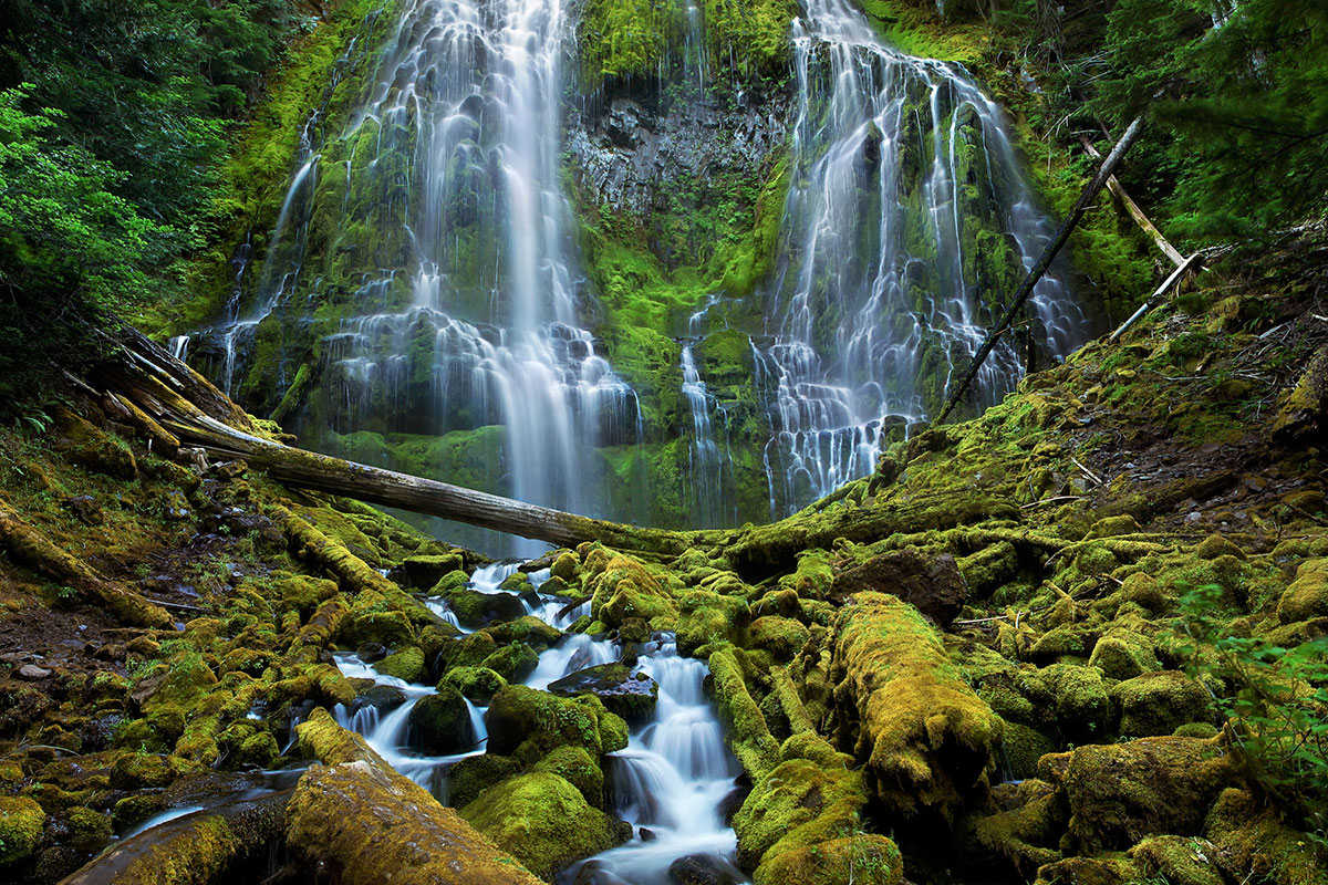 Восхитительная дикая природа в фотографиях с конкурса «Wilderness Forever»