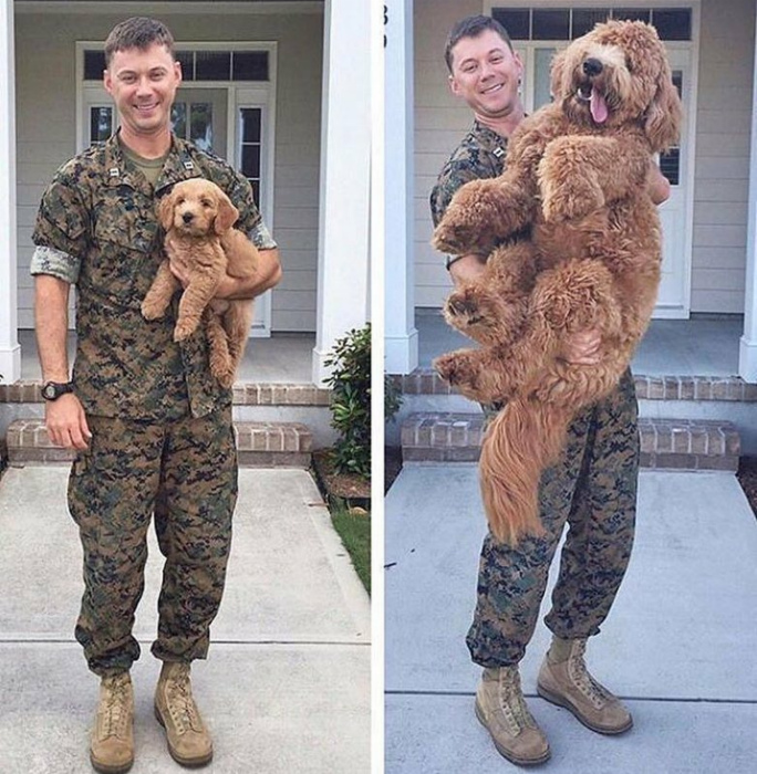 Сила времени в фотографиях