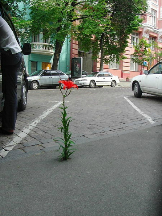 Сила времени в фотографиях