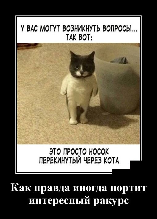 Демотиваторы