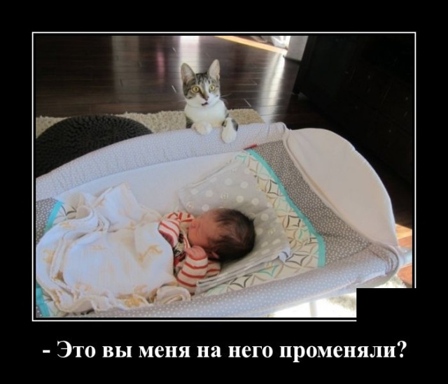 Демотиваторы
