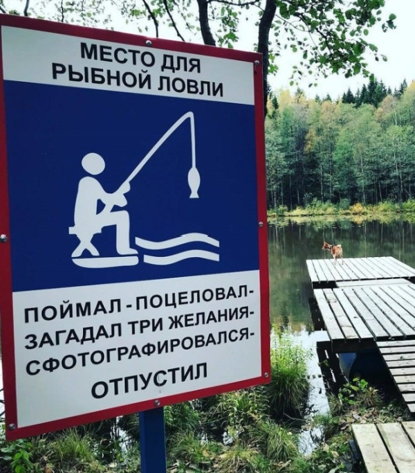 Прикольные картинки