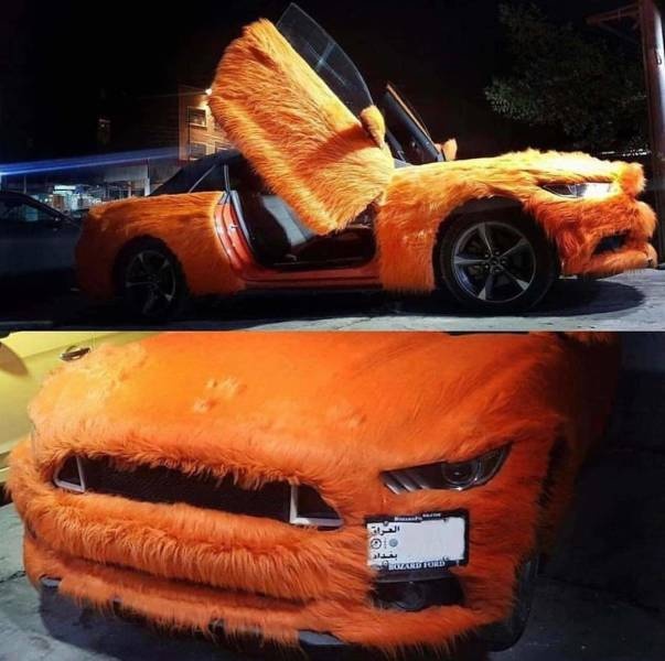 Прикольные картинки