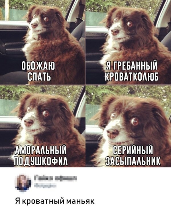 Юмор и картинки без смысловой нагрузки