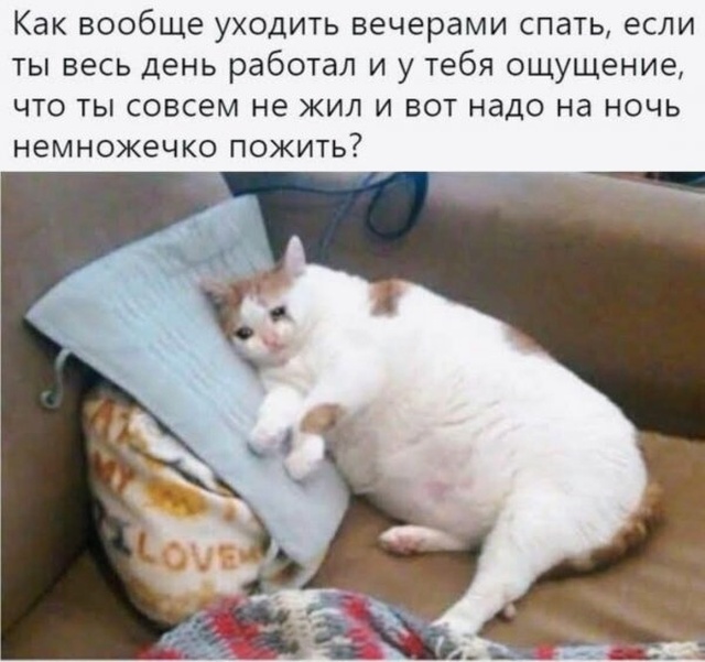 Юмор и картинки без смысловой нагрузки