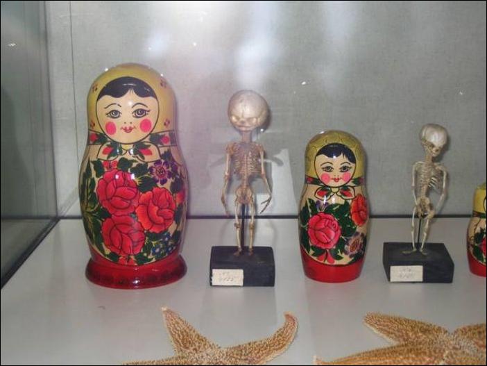 Кучка картинок 31.12.2014
