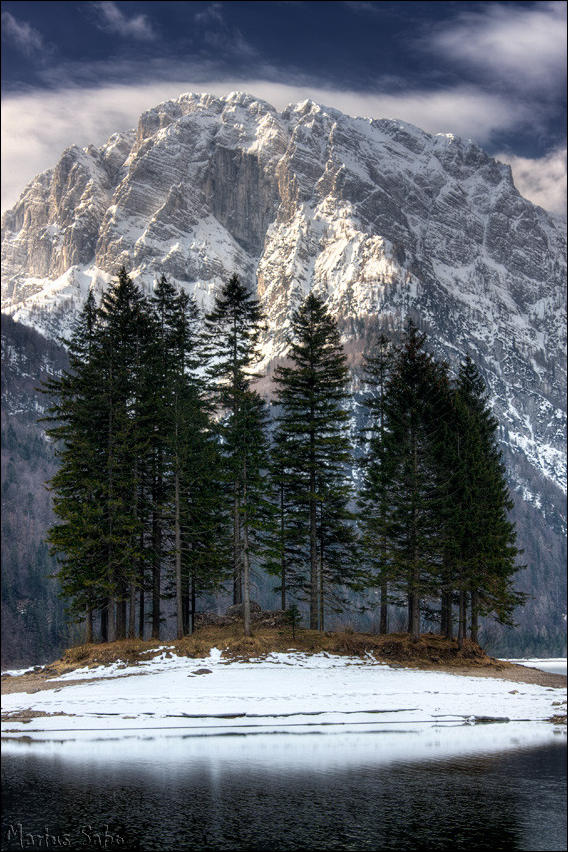 Кучка картинок 31.12.2014