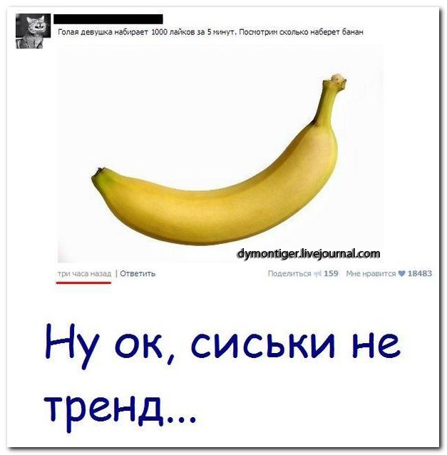 Смешные комментарии из социальных сетей 31.12.14