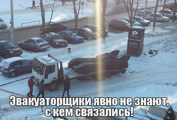 Прикольные картинки