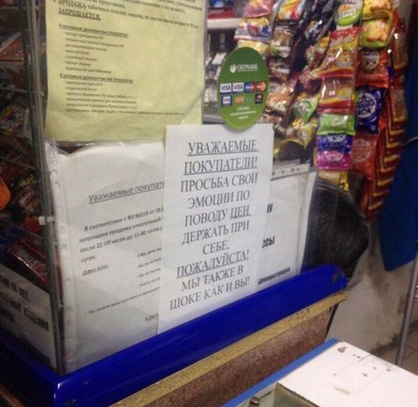 Прикольные картинки