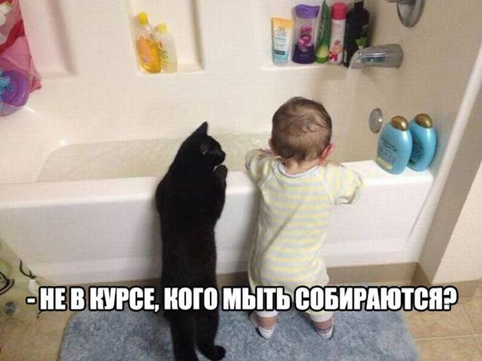 Прикольные картинки