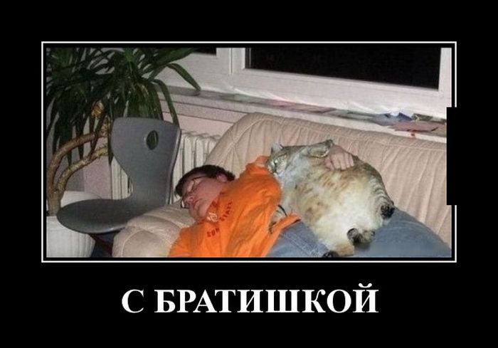Демотиваторы