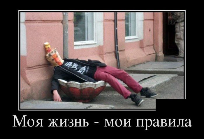 Демотиваторы