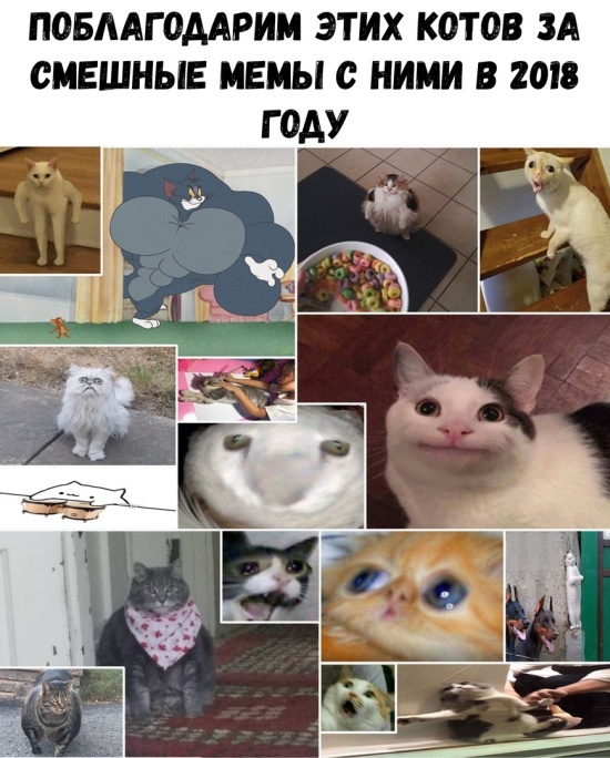 Подборка картинок
