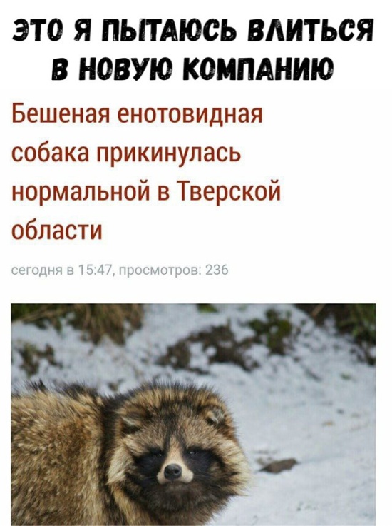 Подборка картинок